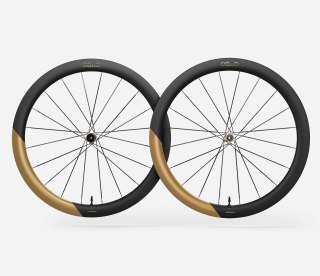 OQUO KOŁA RP50LTD CS SHIMANO MS SET Metallic Golden Sand