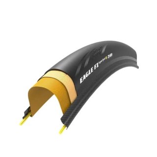 00.1918.809.000 - ZIPP AM TI GY EagleF1 SSR Z29 AERO 700X29 A1
