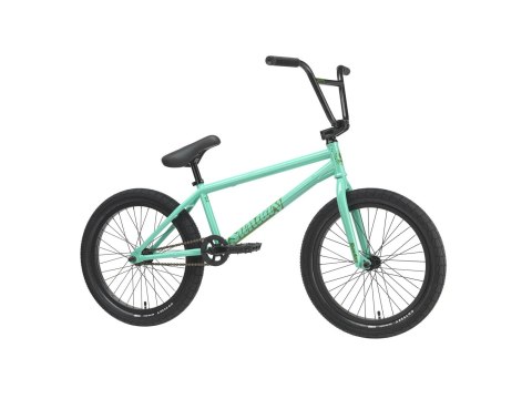 EX Elstran 21" TT toothpaste