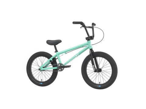 Primer 18" 18.5" TT tooothpaste