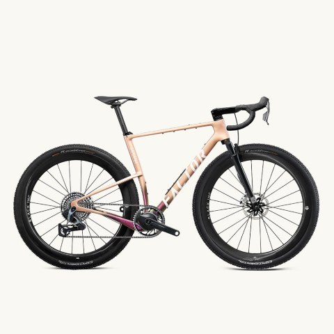 Rama FACTOR SARANA k. Prismatic Gold, Suspension fork, r. 56