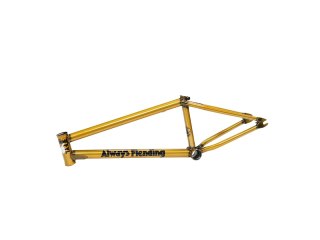 Reynolds V4 Frame 20.5 trans. Gold