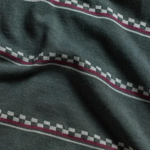TLD MĘSKA KOSZULKA Z DŁUGIM RĘKAWEM SKYLINE FAKIE RIDE TEE STRIPE DARK FOREST (33226003)