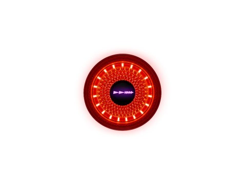 Dynamic Red Lyte 100 Rear Light 100 Lumen, USB-C, 420 mAh incl.Aero-mount, Silicon-Strap