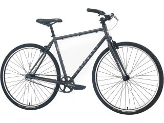 Fairdale Express S/M, dunkelgrau