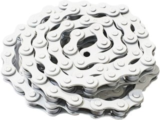 Chain Bluebird white