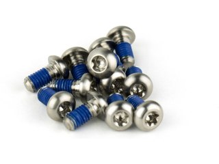 Rotor Bolt Kit - Titanium T25, Silver Bolts (Qty 12)