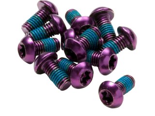 REVERSE Bremsscheiben-Schraubenset lila 12 Stk.