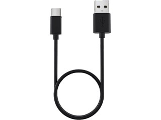 Lezyne Lezyne Ersatz-Kabel USB-C zu USB-A, 30 cm
